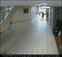 Glass-Door-Fail-04.gif