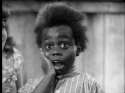 buckwheat.jpg