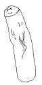 11ba81cb18980d2f469019c925c216a4.png