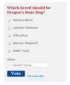 voted.png