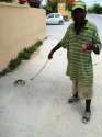 2385c65d994e345d03b8a9ca5fbd15b8-just-a-man-walking-his-pet-crab.jpg