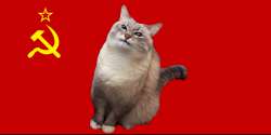 Communist cat.png