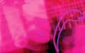 mbv.jpg