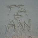 Tayvin 8.jpg