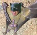 faces-batman.jpg