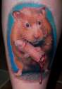 d2e9a91cddrodent.jpg-354x500.jpg