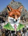 dapperfoxnewback1.png
