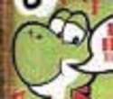 smug turtle.jpg