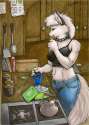 81_1326160244.kalahari_afterdinner.jpg