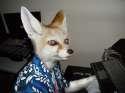 FOX.jpg