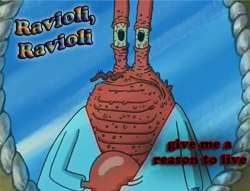 raviolli give me a reason to live.jpg