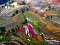 terraced_farms.jpg