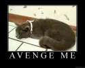 DustyAvenge.jpg