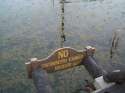 no swimming.jpg