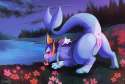 Vaporeon 031.jpg