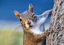 daily-cuteness-winking-5.jpg