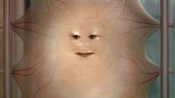 image.jpg