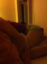 capture7.jpg