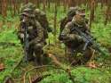 flecktarn.jpg