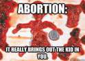 1456374419648.jpg
