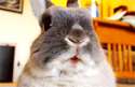 45635733735.gif