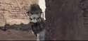 56875684.gif