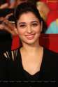 tamanna-bengal-tiger-audio7.jpg