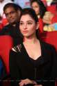 tamanna-bengal-tiger-audio13.jpg