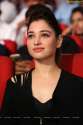 tamanna-bengal-tiger-audio12.jpg