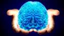 brain, let me hand it to ya.jpg