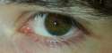 eyes.jpg