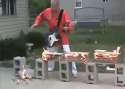 1455148067171.gif