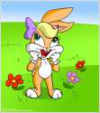 baby_lola_bunny_by_andybunny.jpg