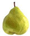 birnen_anjou.jpg