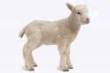 119687521_Lamb_373223c.jpg