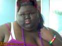 female gorilla.jpg