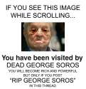 DED (Medium) (Large).jpg