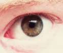 eye1.jpg