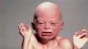 funny-reaction-pictures-5.jpg