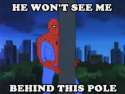 spidey pole.jpg