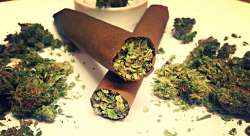 blunt-smoking-benefits.jpg