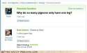 pigen_legs_Yahoo_Answers_at_their_best-s500x310-97246-580.jpg