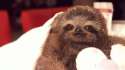 1396676723861.gif