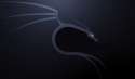 backtrack-wallpaper-47.jpg