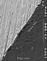 magnified edge.jpg