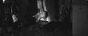 image.gif