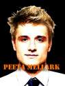 Peeta-peeta-mellark-24740309-391-512.jpg