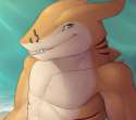 tigershark.jpg