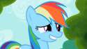 Dashie.gif