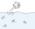 fish.png